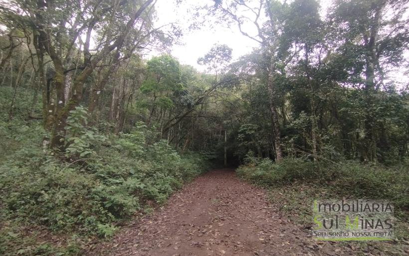 Terreno Rural Com 1 Alqueire À Venda Próximo a Senador Amaral MG COD2232 (4)