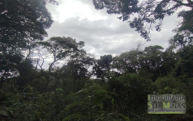 Terreno Rural Com 1 Alqueire À Venda Próximo a Senador Amaral MG COD2232 (6)