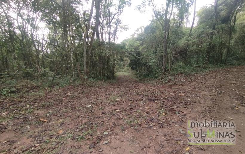 Terreno Rural Com 1 Alqueire À Venda Próximo a Senador Amaral MG COD2232 (7)