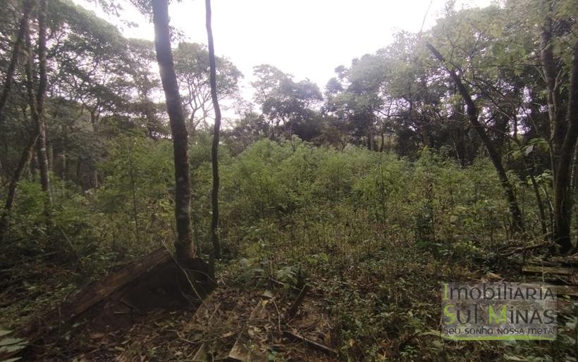 Terreno Rural Com 1 Alqueire À Venda Próximo a Senador Amaral MG COD2232 (8)