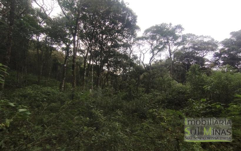 Terreno Rural Com 1 Alqueire À Venda Próximo a Senador Amaral MG COD2232 (9)