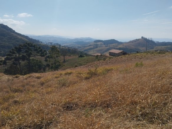 Terreno Rural Com ótima Vista À Venda em Senador Amaral COD2227 (21)