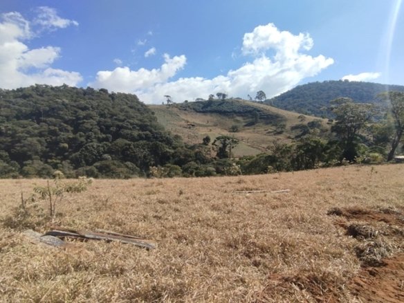 Terreno com 10.000m² Bem Localizado À Venda em Cambuí MG COD2228 (1)