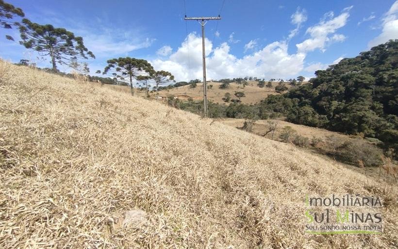 Terreno com 10.000m² Bem Localizado À Venda em Cambuí MG COD2228 (10)