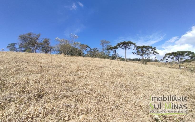 Terreno com 10.000m² Bem Localizado À Venda em Cambuí MG COD2228 (11)
