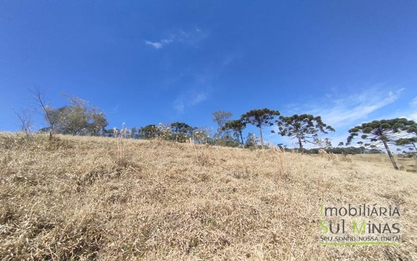 Terreno com 10.000m² Bem Localizado À Venda em Cambuí MG COD2228 (3)