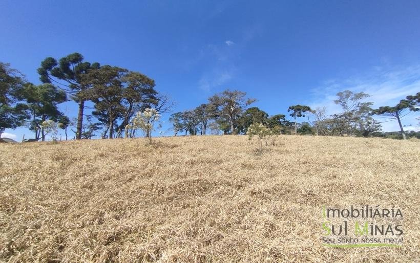 Terreno com 10.000m² Bem Localizado À Venda em Cambuí MG COD2228 (4)