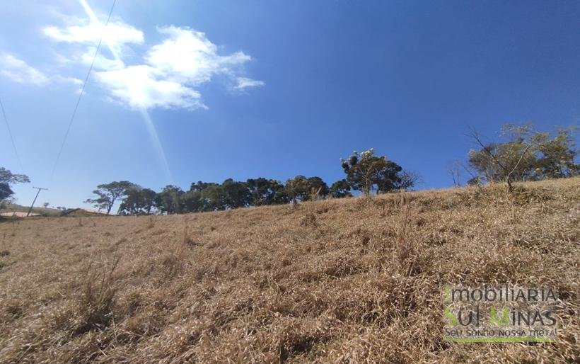 Terreno com 10.000m² Bem Localizado À Venda em Cambuí MG COD2228 (8)
