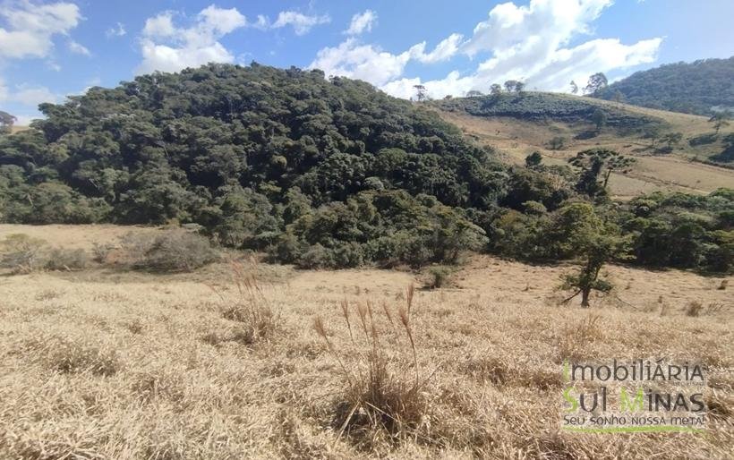 Terreno com 10.000m² Bem Localizado À Venda em Cambuí MG COD2228 (9)