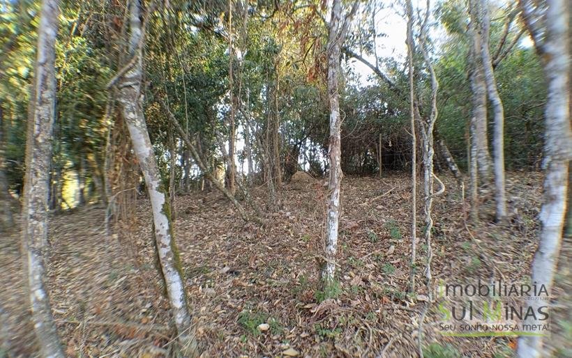 Terreno de 8.000 m² com Vista Deslumbrante À Venda em Cambuí MG cod2257 (1)
