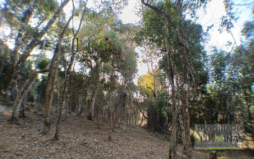 Terreno de 8.000 m² com Vista Deslumbrante À Venda em Cambuí MG cod2257 (12)