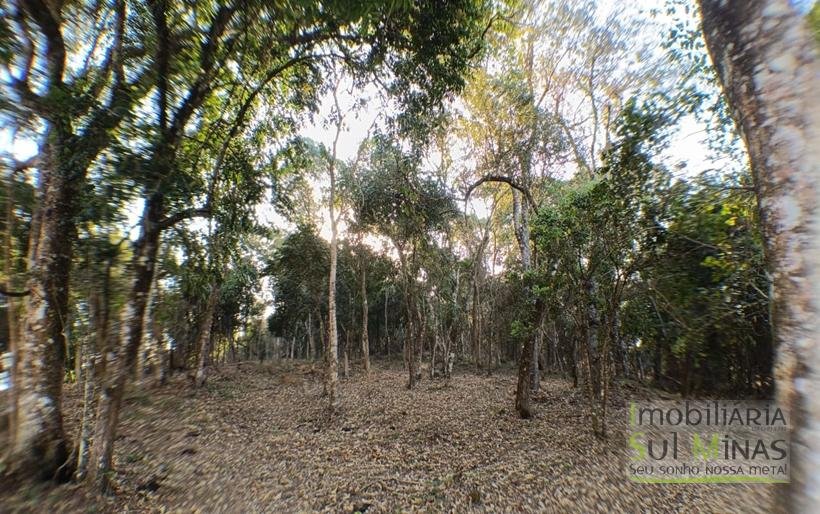 Terreno de 8.000 m² com Vista Deslumbrante À Venda em Cambuí MG cod2257 (13)