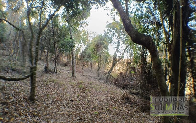 Terreno de 8.000 m² com Vista Deslumbrante À Venda em Cambuí MG cod2257 (15)