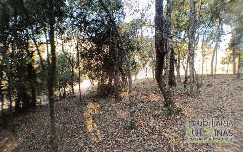 Terreno de 8.000 m² com Vista Deslumbrante À Venda em Cambuí MG cod2257 (16)