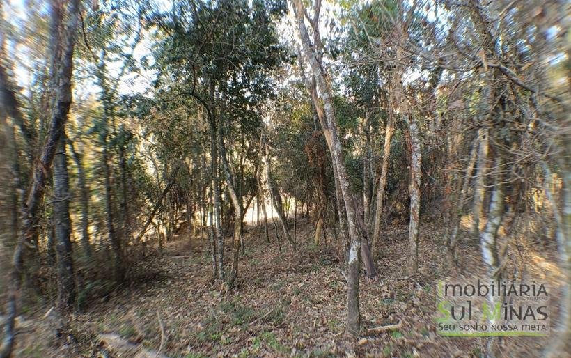 Terreno de 8.000 m² com Vista Deslumbrante À Venda em Cambuí MG cod2257 (17)