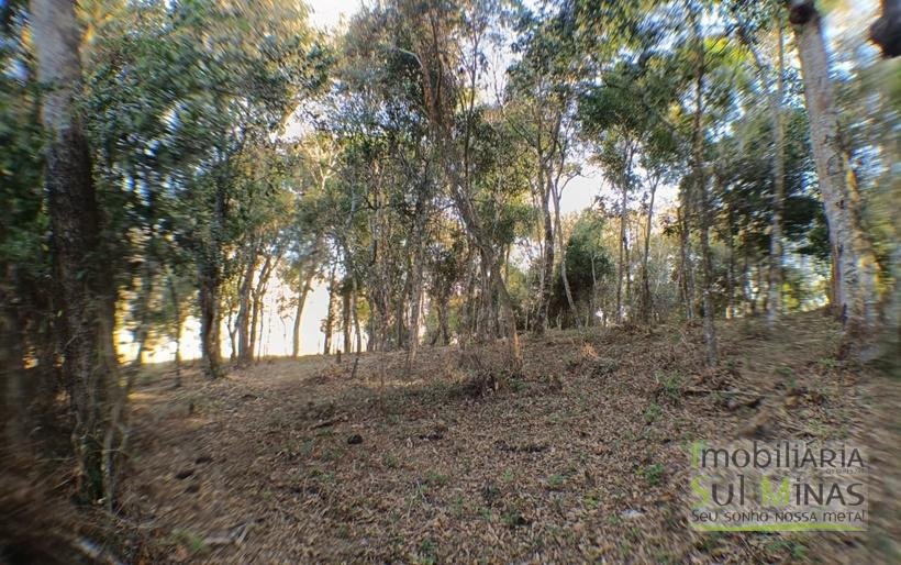 Terreno de 8.000 m² com Vista Deslumbrante À Venda em Cambuí MG cod2257 (18)