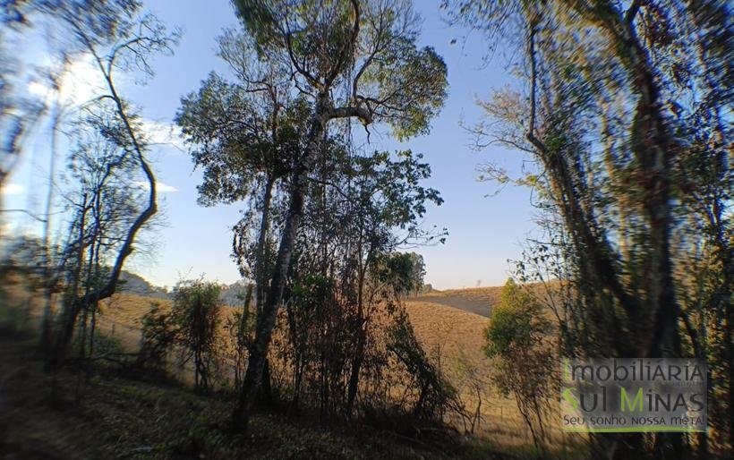 Terreno de 8.000 m² com Vista Deslumbrante À Venda em Cambuí MG cod2257 (2)