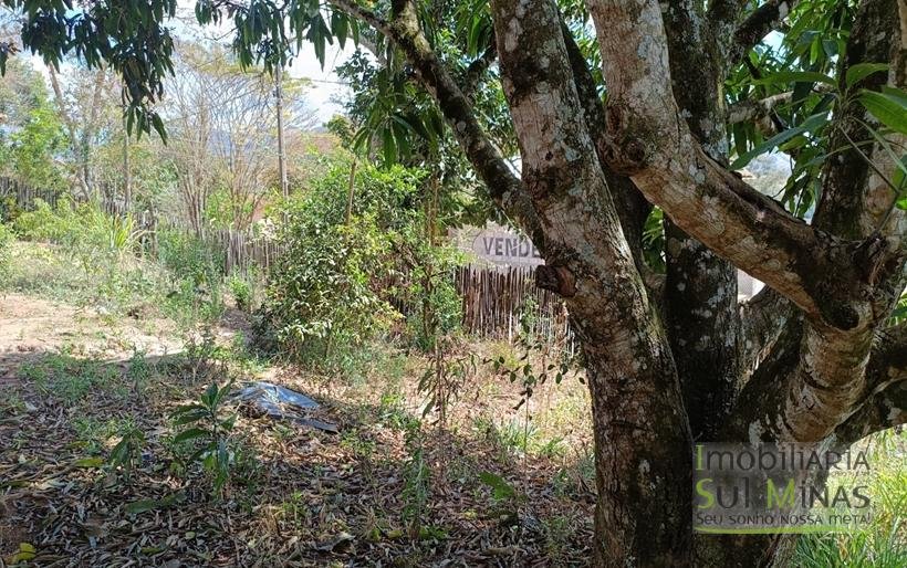 Chácara Com 1000m² á 2Km Da Fernão Dias À Venda em Estiva MG COD2260 (12)