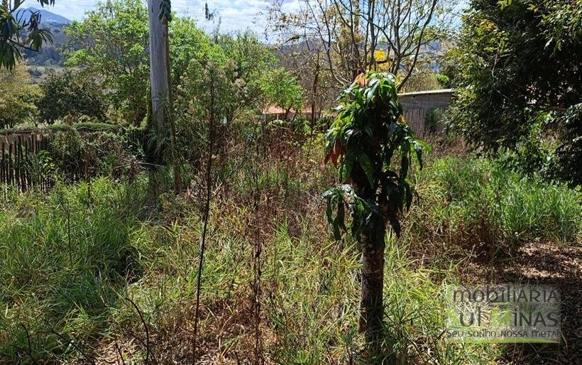Chácara Com 1000m² á 2Km Da Fernão Dias À Venda em Estiva MG COD2260 (2)