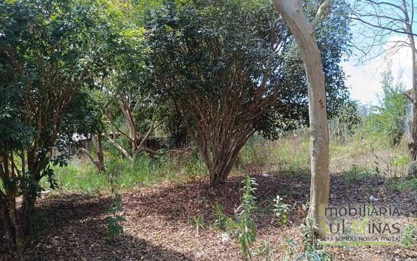 Chácara Com 1000m² á 2Km Da Fernão Dias À Venda em Estiva MG COD2260 (9)