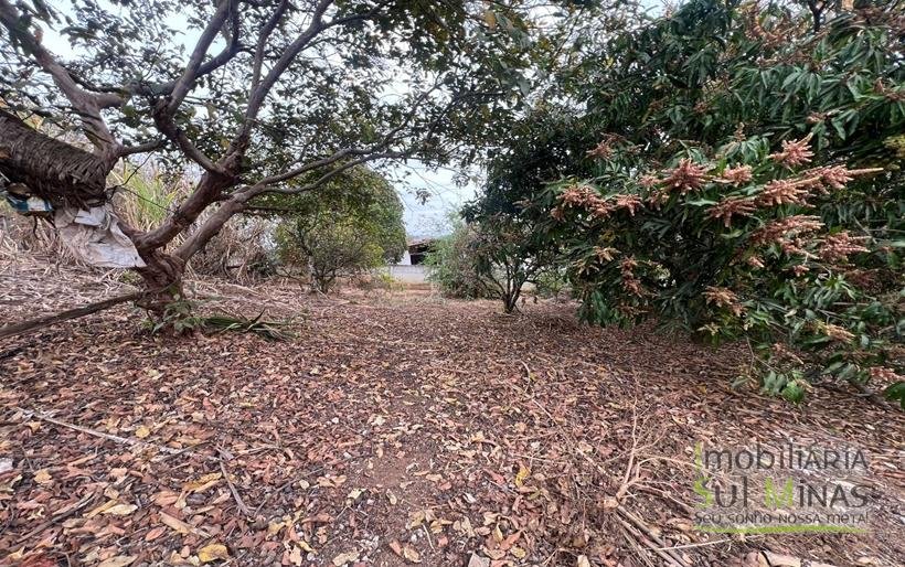 Chácara com 15.000m² À Venda em Cambuí MG COD2271 (14)