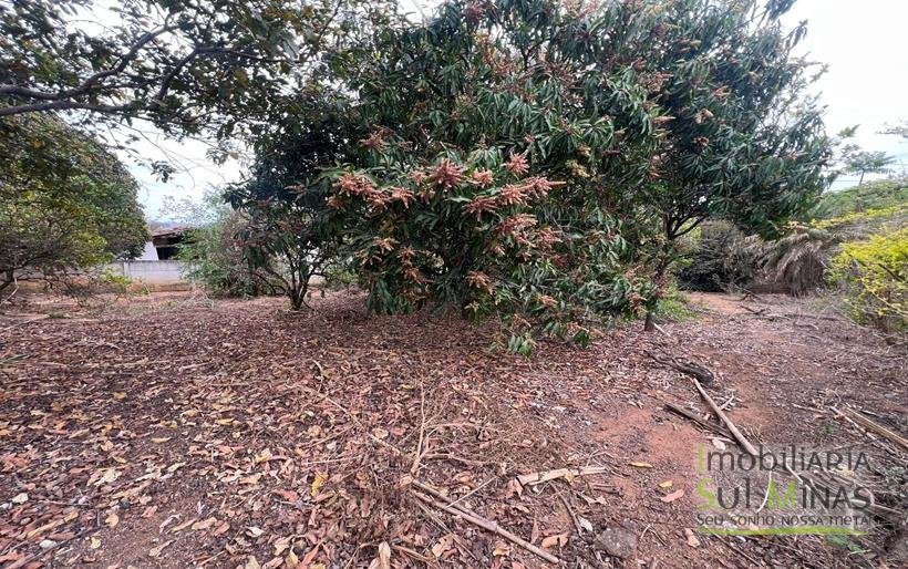 Chácara com 15.000m² À Venda em Cambuí MG COD2271 (18)