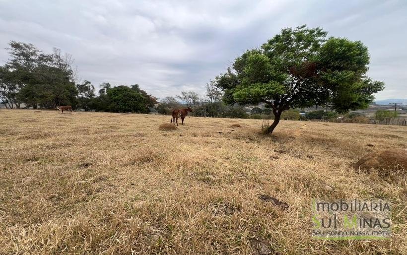 Chácara com 15.000m² À Venda em Cambuí MG COD2271 (31)
