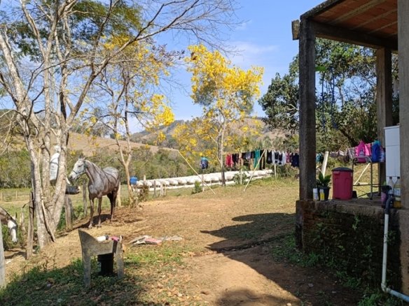 Chácara com 6000m² Com 3 Nascentes À Venda em Cambuí MG COD2264 (12)