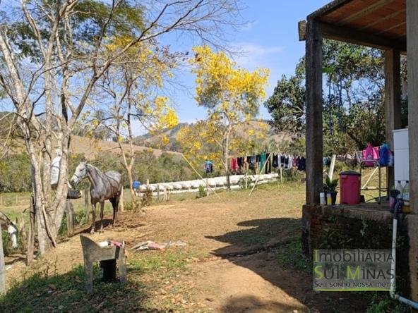 Chácara com 6000m² Com 3 Nascentes À Venda em Cambuí MG COD2264 (12)