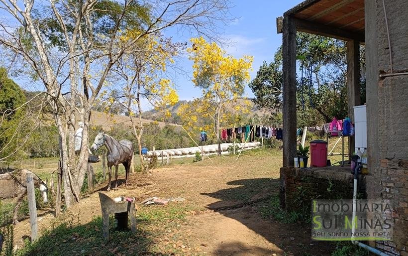 Chácara com 6000m² Com 3 Nascentes À Venda em Cambuí MG COD2264 (12)