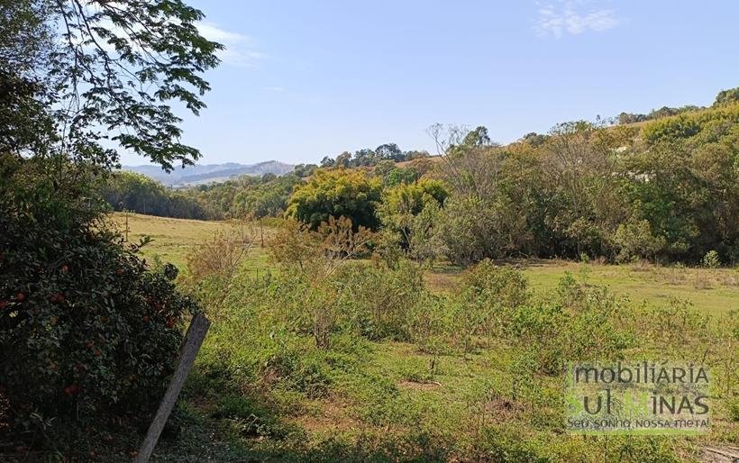 Chácara com 6000m² Com 3 Nascentes À Venda em Cambuí MG COD2264 (13)