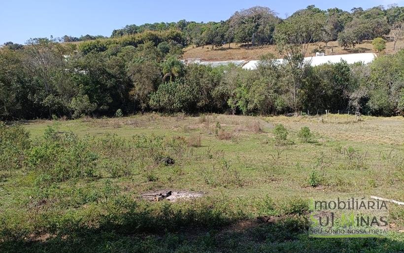 Chácara com 6000m² Com 3 Nascentes À Venda em Cambuí MG COD2264 (4)