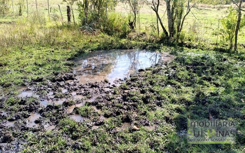 Chácara com 6000m² Com 3 Nascentes À Venda em Cambuí MG COD2264 (5)