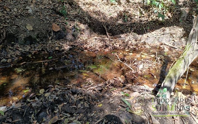 Chácara com 6000m² Com 3 Nascentes À Venda em Cambuí MG COD2264 (6)