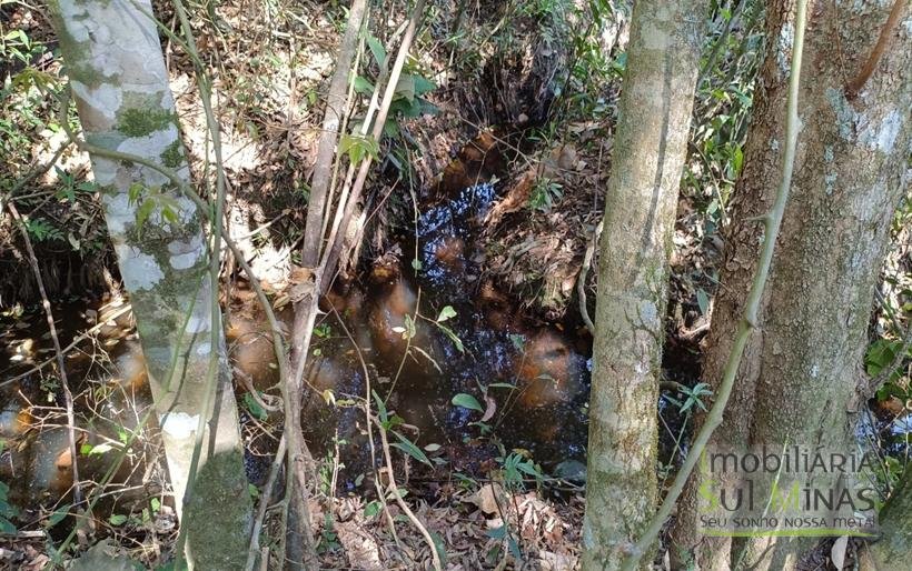 Chácara com 6000m² Com 3 Nascentes À Venda em Cambuí MG COD2264 (8)