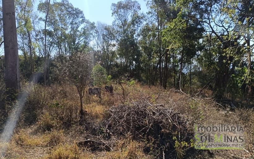 Chácara de 3 Dormitórios à Venda no Córrego do Bom Jesus MG COD2269 (12)