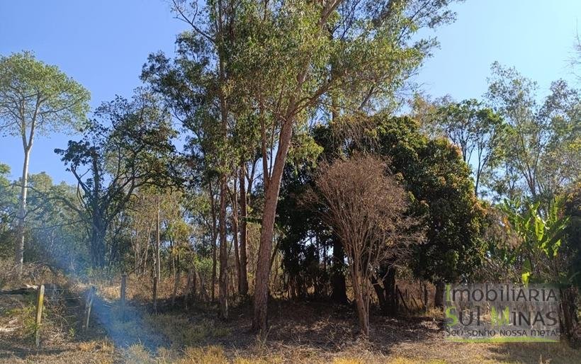Chácara de 3 Dormitórios à Venda no Córrego do Bom Jesus MG COD2269 (13)