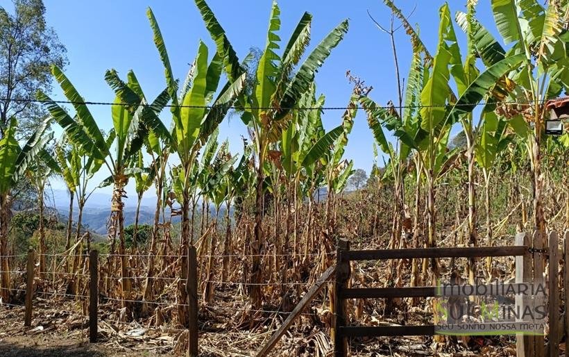 Chácara de 3 Dormitórios à Venda no Córrego do Bom Jesus MG COD2269 (14)