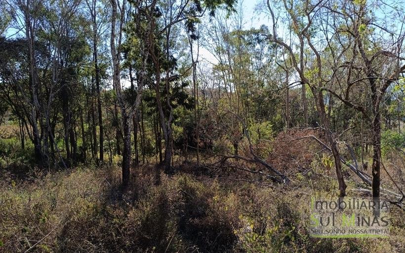 Chácara de 3 Dormitórios à Venda no Córrego do Bom Jesus MG COD2269 (15)