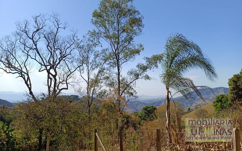 Chácara de 3 Dormitórios à Venda no Córrego do Bom Jesus MG COD2269 (19)