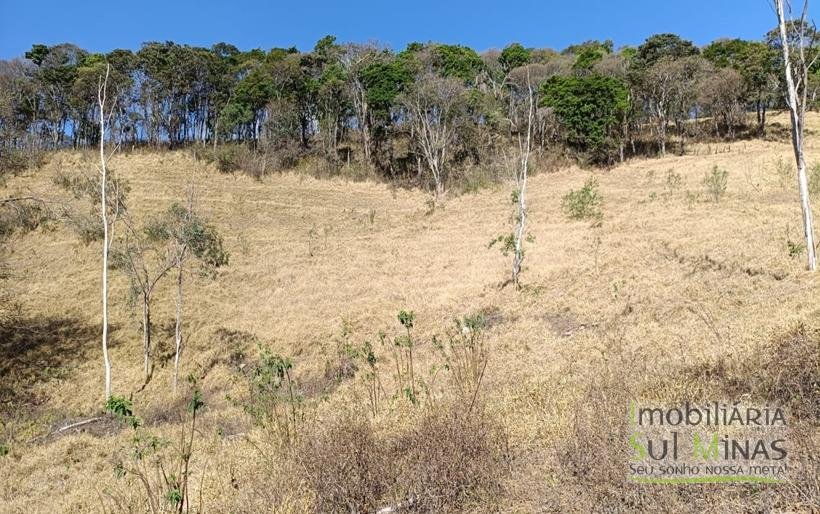 Chácara de 3 Dormitórios à Venda no Córrego do Bom Jesus MG COD2269 (3)