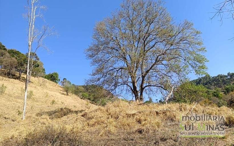 Chácara de 3 Dormitórios à Venda no Córrego do Bom Jesus MG COD2269 (4)