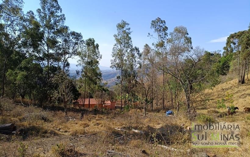 Chácara de 3 Dormitórios à Venda no Córrego do Bom Jesus MG COD2269 (5)