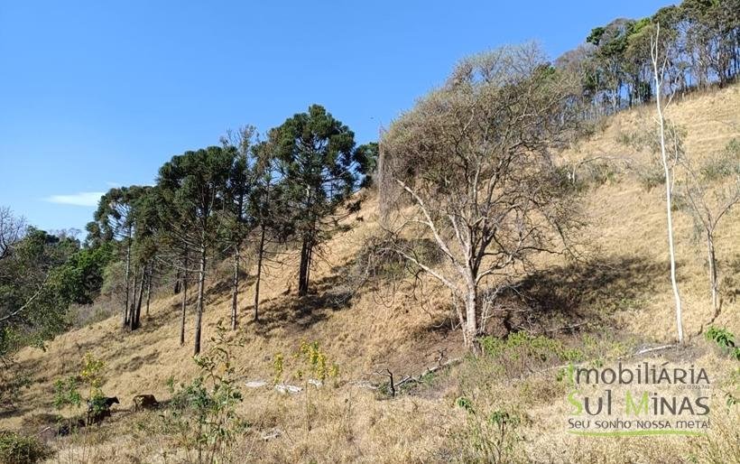 Chácara de 3 Dormitórios à Venda no Córrego do Bom Jesus MG COD2269 (6)