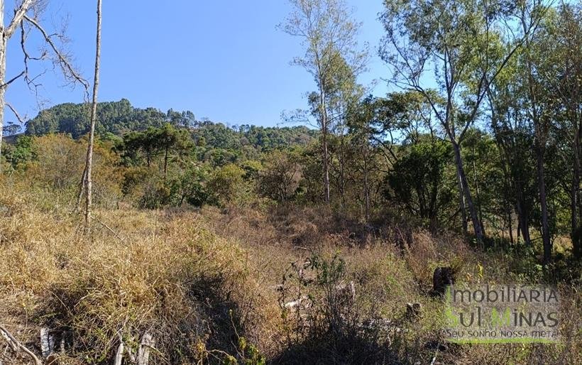Chácara de 3 Dormitórios à Venda no Córrego do Bom Jesus MG COD2269 (7)