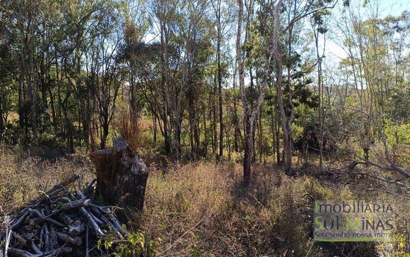 Chácara de 3 Dormitórios à Venda no Córrego do Bom Jesus MG COD2269 (8)