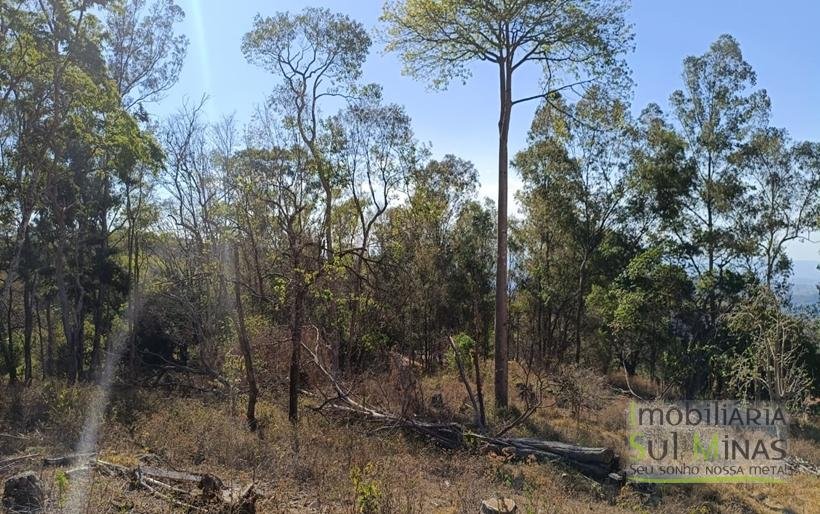Chácara de 3 Dormitórios à Venda no Córrego do Bom Jesus MG COD2269 (9)
