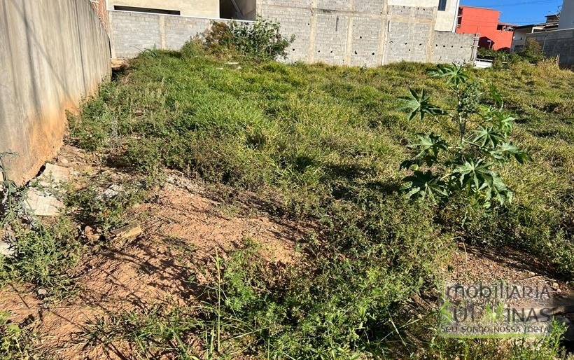 Lote de 140m² em Ótimo Bairro À Venda em Cambuí MG COD2276 (5)
