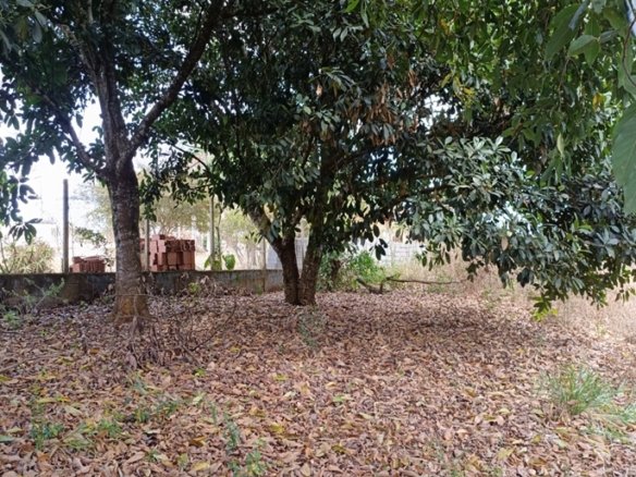 Terreno Rural Com 1000m² À Venda em Estiva MG COD2259 (1)