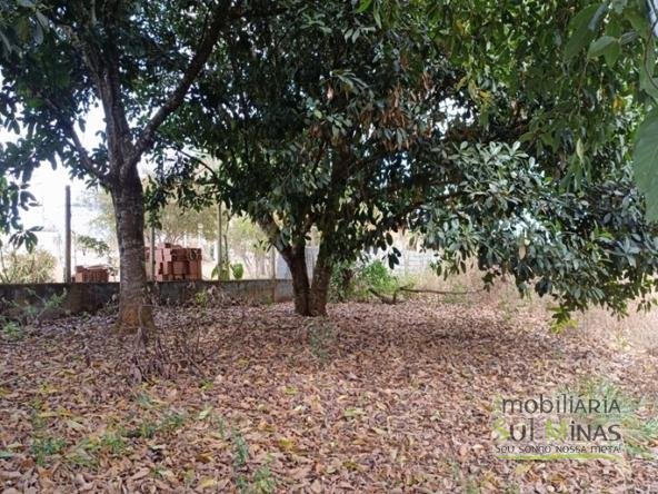 Terreno Rural Com 1000m² À Venda em Estiva MG COD2259 (1)